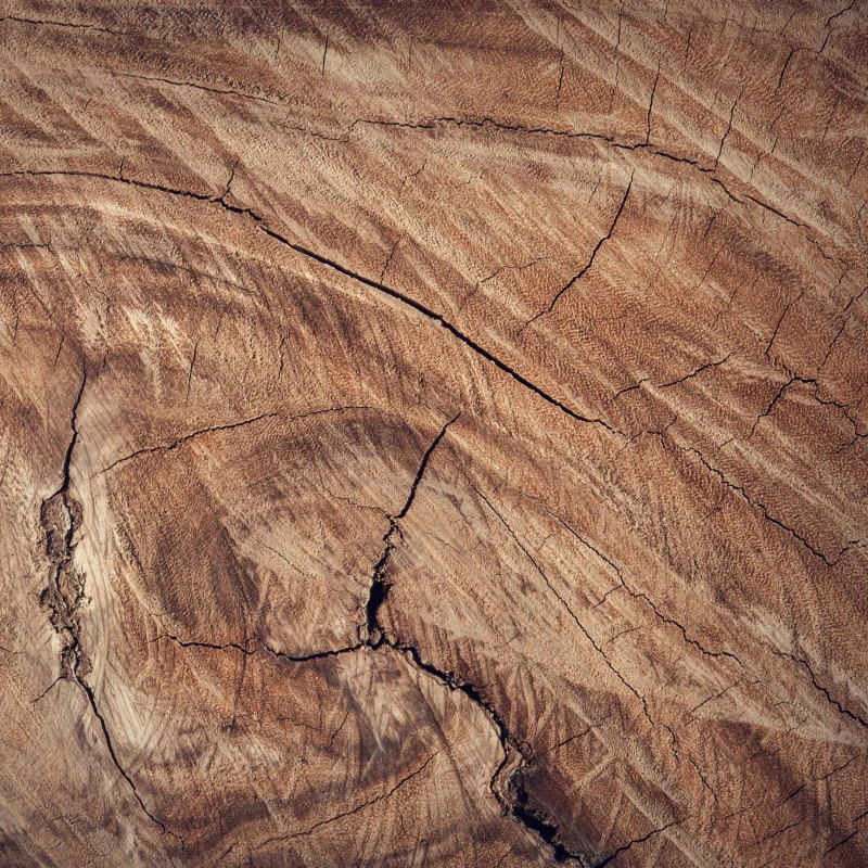 pexels_fwstudio_33348_172289_1