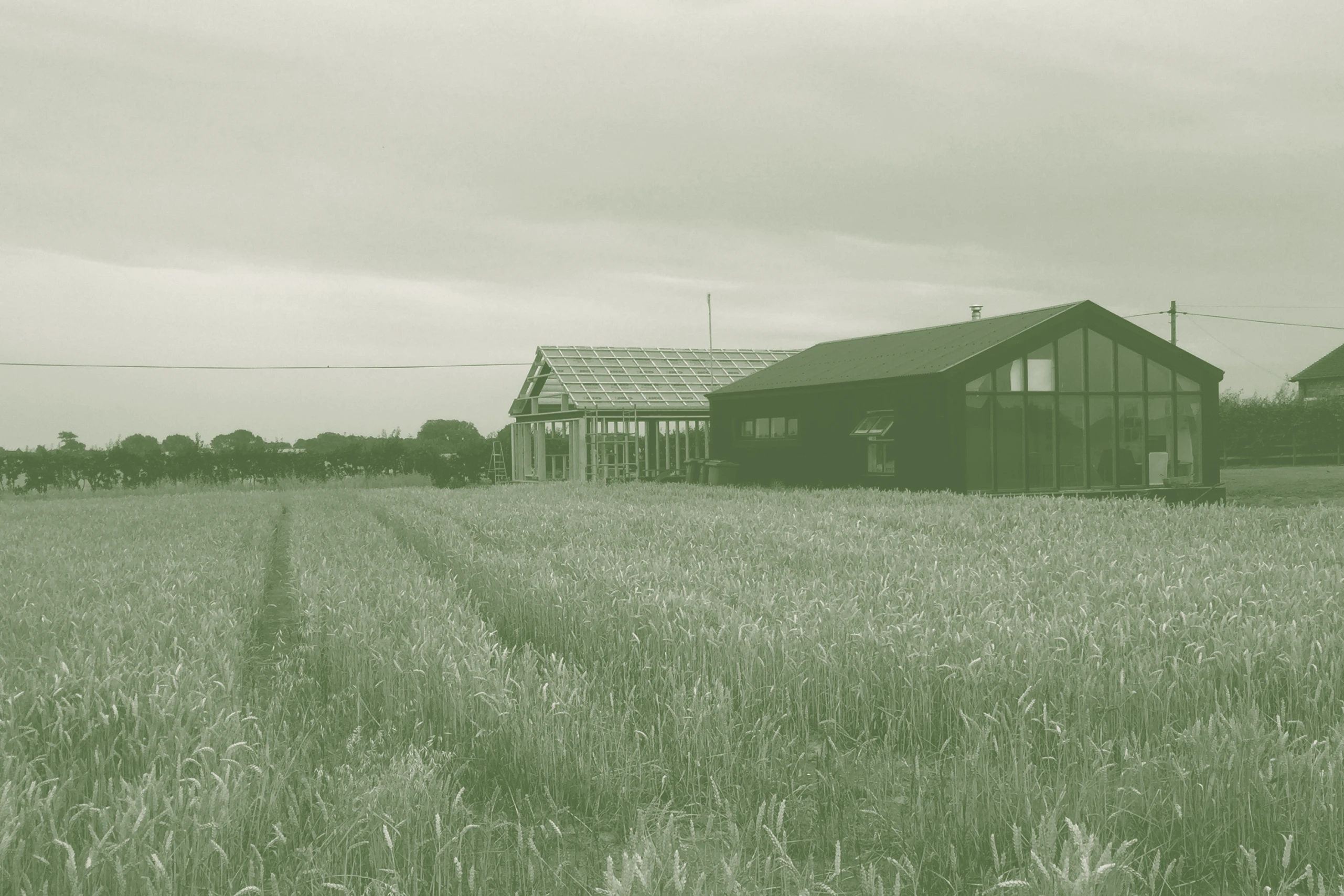 studios_cowshed_1